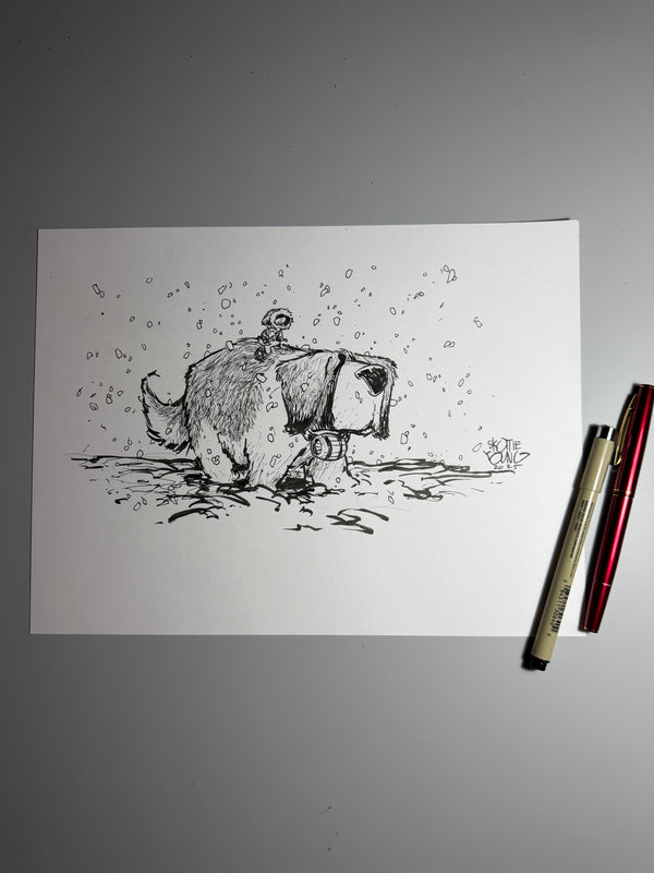 One Word Studies- DOG