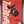 The Personal Collection of Skottie Young- Daredevil Annual #1 8.5-9.4