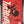 The Personal Collection of Skottie Young- Daredevil Annual #1 8.5-9.4