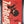 The Personal Collection of Skottie Young- Daredevil Annual #1 8.5-9.4